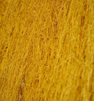 Process of fabrication yellow color